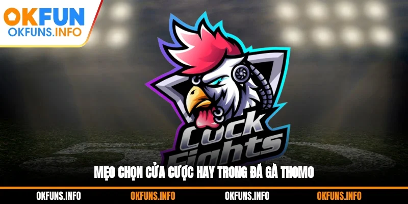 Mẹo chọn cửa cược hay trong Đá gà Thomo