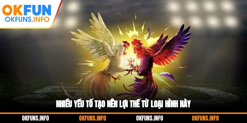 Nhiều yếu tố tạo nên lợi thế từ loại hình này